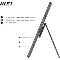 Monitor 15.6 pulgadas msi pro mp161 iron gray