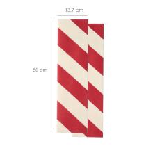 Protector Antiroces Cochera Adhesivo 50 x 13,7cm (2 piezas)