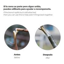 Cinta Injertar Elastica 3 cm. x 100 metros.